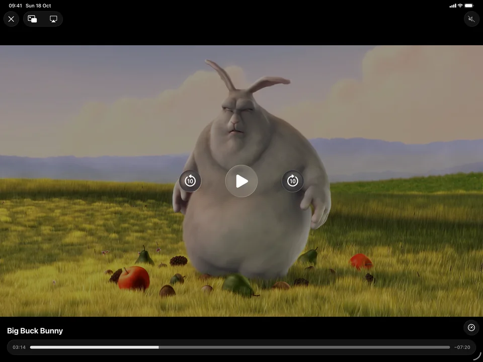 Big Buck Bunny paused on iPad Big Buck Bunny paused on iPad