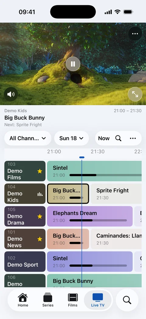 Live TV on iPhone: the channel above the guide